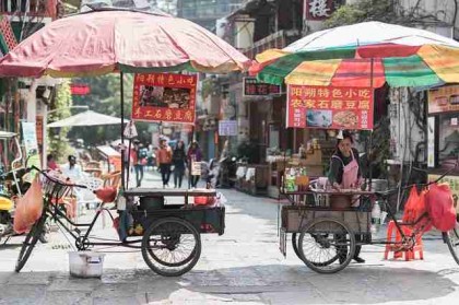 专家点评速览：91网里的数据可视化图表功能与跨端使用教程玩法