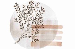 独家揭秘攻略：抢先掌握每日大赛官网与战术分析的观赛技巧